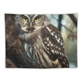 thumbnail image 5 of Orinice Owl Tree Branch Nature Tapestry Wall Hanging Unique Style Graphic Tapestries Home Decor Living Room Bedroom Apartment Dorm Farmhouse 40x30inch, 5 of 6