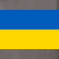 thumbnail image 3 of CafePress - Ukraine Flag T Shirt - Womens Comfort Colors® Shirt, 3 of 4