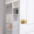 thumbnail image 3 of Design House 782730 Tulip 2-Way Latch Passage Door Knob, Adjustable Backset, Polished Brass Finish, 3 of 12
