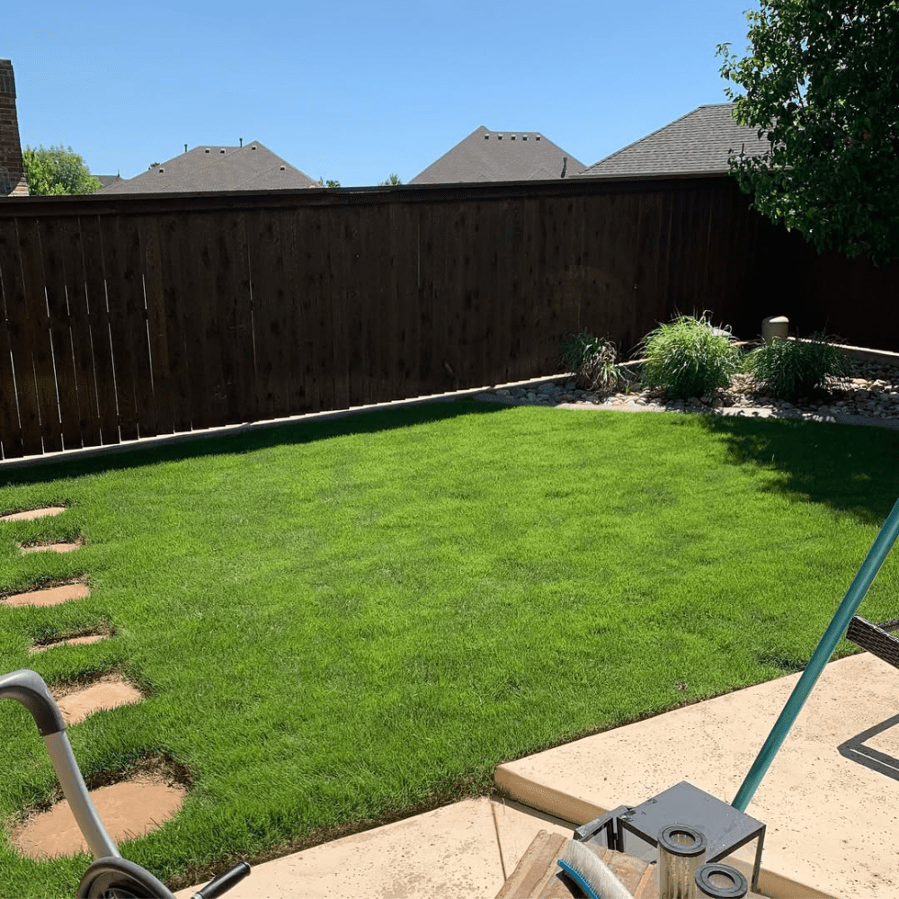 5000 Zoysia Grass Seeds,  Zoysia Grass Seeds for Lawn, Low Maintenance Lawns for Outdoor Gardening