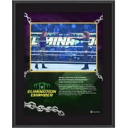 Becky Lynch WWE 10.5" x 13" 2022 Elimination Chamber Sublimated Plaque