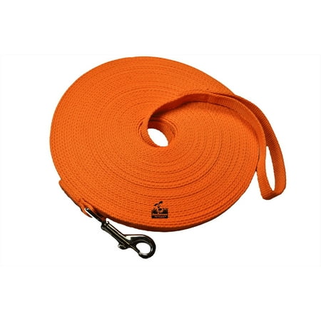 Long Dog Puppy Obedience Recall Training Agility Lead, (Best Leash For Golden Retriever Puppy)