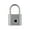 P1-SILVERY, variant on USB Rechargeable Door Smart Lock Fingerprint Padlock Quick Unlock Zinc alloy Metal High identify Security lock ,Security Locking