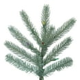 thumbnail image 2 of Vickerman Artificial Christmas Tree 6.5' x 58'' Colorado Blue Spruce 1818 Tips, 2 of 3
