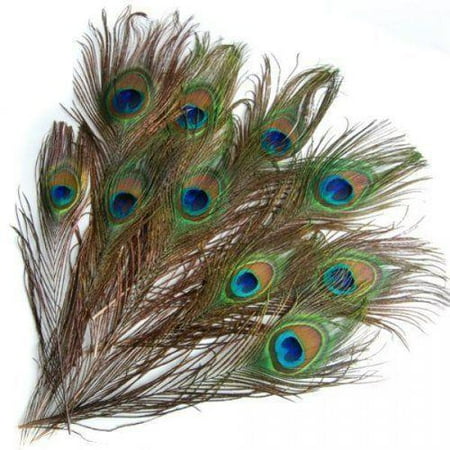 Us Decorations Ktaxon 50x High Quality Real Natural 10