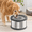 12L+2 Filters, variant on 12l Dog Water Bowl No S3.1 Gallon Super Large Capacity Stainless Steel Splash 405oz Slow Drinking Feeder With Non-slip Base Pet Di