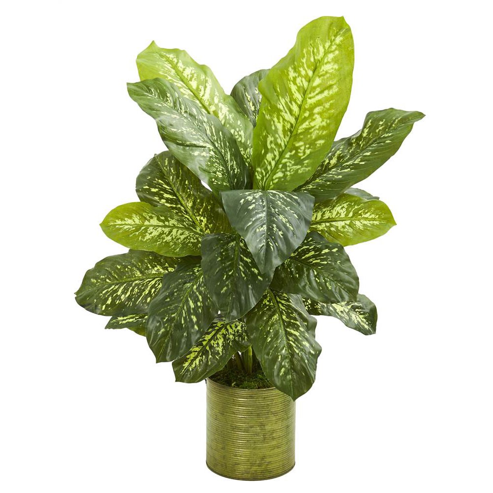 Nearly Natural 36? Dieffenbachia Artificial Plant in Green
