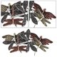 thumbnail image 3 of Horquillas de Libélula Strade Fareast Limited 6 Piezas Vintage, 3 of 6
