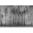 thumbnail image 2 of Schleicher-Schwarz, Roswitha 24x17 White Modern Wood Framed Museum Art Print Titled - Impenetrable Forest, 2 of 4