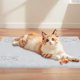 thumbnail image 3 of Alfombrilla de enfriamiento para mascotas gris 48x65cm Manta de verano para perros Gatos Almohadilla de enfriamiento de nailon lavable con fondo antideslizante Alfombrilla de confort que absorbe el, 3 of 5