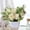 White, variant on Potted Artificial Flowers, Silk Rose Arrangements Flowers Bouquets with Vase Dinning Table Centerpieces Dormitory Bedroom Kitchen Decoration