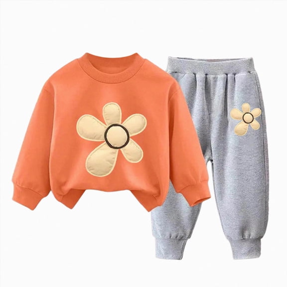 Toddler Baby Girl Clothes 12 24 Months 2T 3T 4T 5T 6T 7T 8T Fall Winter Outfits Floral Print Long Sleeve Sweatshirt Pant Sets Orange Size 2-3 Years