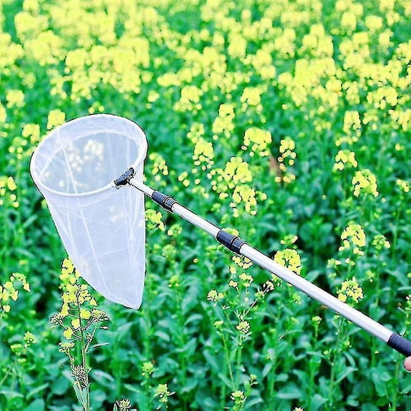 Insect And Butterfly Net, 50cmnet Depth, Handle Extends To 170cm