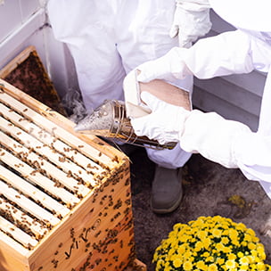 VIVO Bee Hive Smoker Stainless Steel w/Heat Shield Beekeeping Equipment BEE-V001