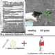 thumbnail image 2 of Ammonium Weed Easy To Use Soluble Environmentally Friendly 50g Weed For, 2 of 5