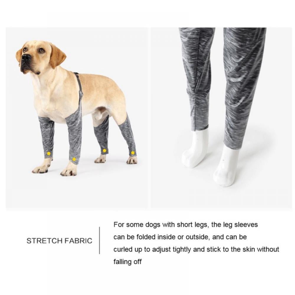Dog Leggings Are The New Clothing Trend For Dogs and It's Actually For A  Great Reason