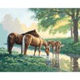 thumbnail image 1 of Taladro diamante pintura (DE4253) 5D DIY caballo bebiendo completo punto de cruz bordado 45x60cm FLhrweasw Nuevo, 1 of 1