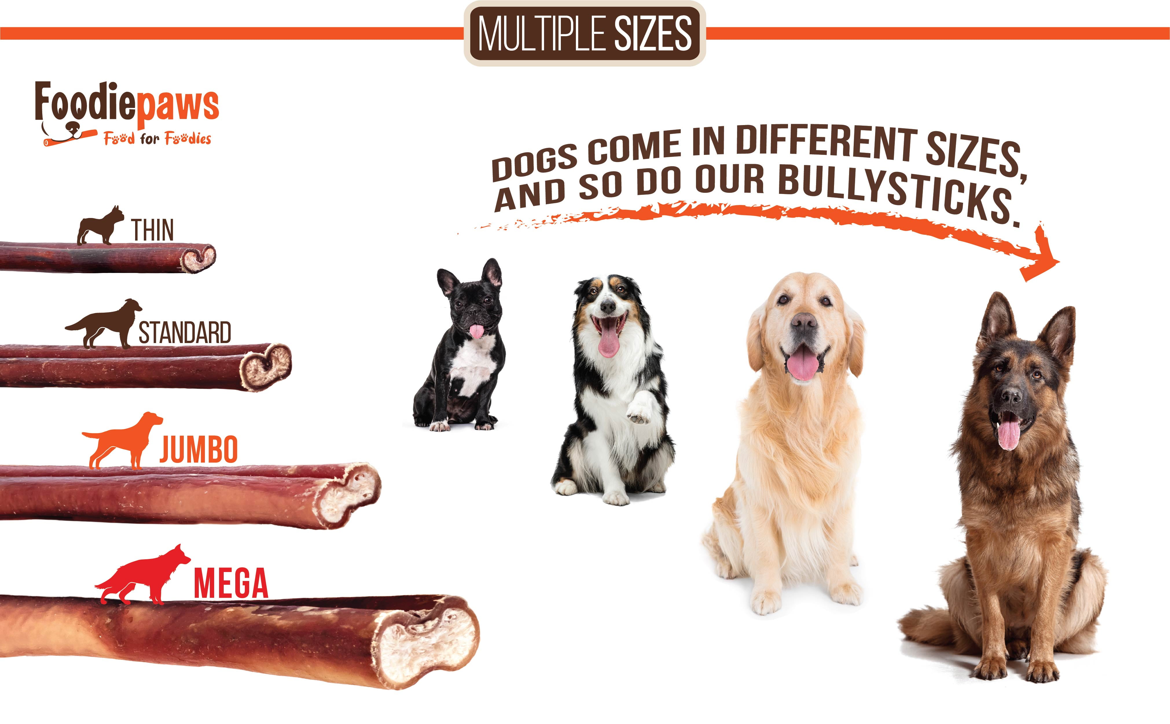 Foodiepaws All Natural 4-inch Bully Sticks Odor free USA Packed for Small, Medium Dogs-100% Free-Range Grass-Fed Beef–Single Ingredient Grain & Rawhide Free-Longer Lasting Dental Dog Chews (1lb)