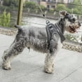 thumbnail image 2 of Chaleco de pecho con tracción en la espalda para mascotas, collar ajustable y cinturón para caminar de forma segura, juego de arnés y correa para perros XS, 2 of 8