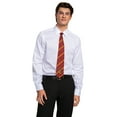 thumbnail image 2 of Déguisement Harry Potter Cravate Gryffondor, 2 of 9