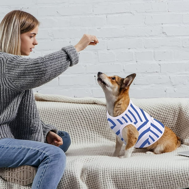Dunder mifflin dog clearance shirt