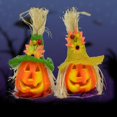 thumbnail image 5 of Décoration de Fête Intérieure Extérieure Citrouille Halloween Mode Cadeau pour Enfants, 5 of 5