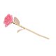 thumbnail image 5 of Valentín 24K Oro Rosa Sumergido Hojas Doradas Novia Esposa Regalo Del Día De San Valentín Boda Decoración Rosa EOTVIA Valentine's Day Gift, 5 of 8