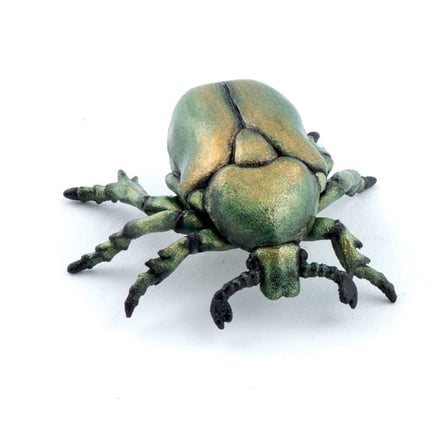 European Rose Chafer