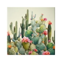 Stupell Industries Prickly Cactus Blooms Botanical & Floral Painting Gallery Wrapped Canvas Art Print Wall Art, 17 x 17