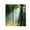 N, variant on Shower Curtain,All Season Theme Picture of a Forest Tree Leaves on an Abstract Woodland Background Print,Essential Accessories for Farm House Bathroom Decoration Cloth Fabric Bath,59x70 Inches