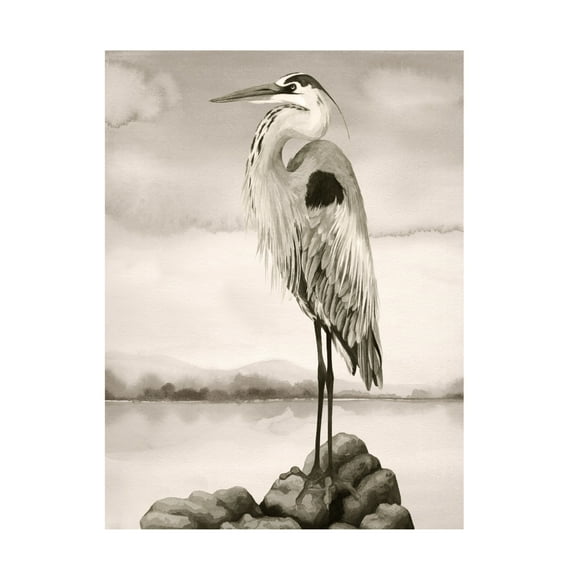 Trademark Fine Art Grace Popp Sepia Watcher I Canvas Wall Art