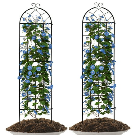 BAYUELSWU 61 x 16 Inch Garden Trellis, 2-Pack Metal Garden Trellis Plant Supports for Outdoor Plants, Roses, Vines, Flowers and Vegetables