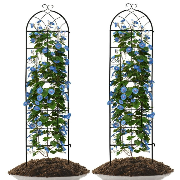 BAYUELSWU 61 x 16 Inch Garden Trellis, 2-Pack Metal Garden Trellis Plant Supports for Outdoor Plants, Roses, Vines, Flowers and Vegetables