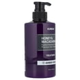 thumbnail image 3 of Kundal Honey & Macadamia, Treatment, Amber Vanilla, 16.9 fl oz (500 ml), 3 of 4