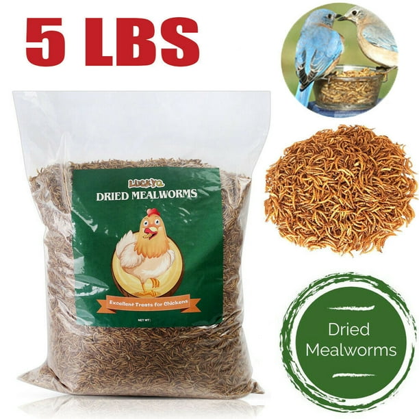 5 lbs HighProtein Dried Mealworms for Wild Birds Food Blue Bird