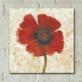 thumbnail image 5 of Epic Art 'Red Poppy Portrait I' by Tim O'Toole, Acrylic Glass Wall Art, 12"x12", 5 of 7