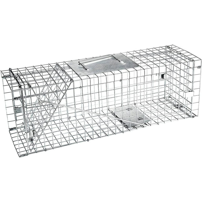 eXuby Large Cat Trap for Stray / Feral Cats - 31x12x13 in - Safe