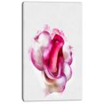 thumbnail image 2 of Rose Rouge avec Aquarelle Blanche - Impression sur Toile Florale, 2 of 3