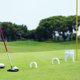 thumbnail image 2 of Putting Training Aid Golf Gates 3 Tamaños Diferentes para Interiores Y Exteriores, 2 of 9