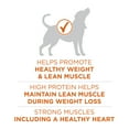 thumbnail image 5 of Purina ONE Plus Healthy Weight Dog Food Dry Formula, 8 lb Bag, 5 of 11