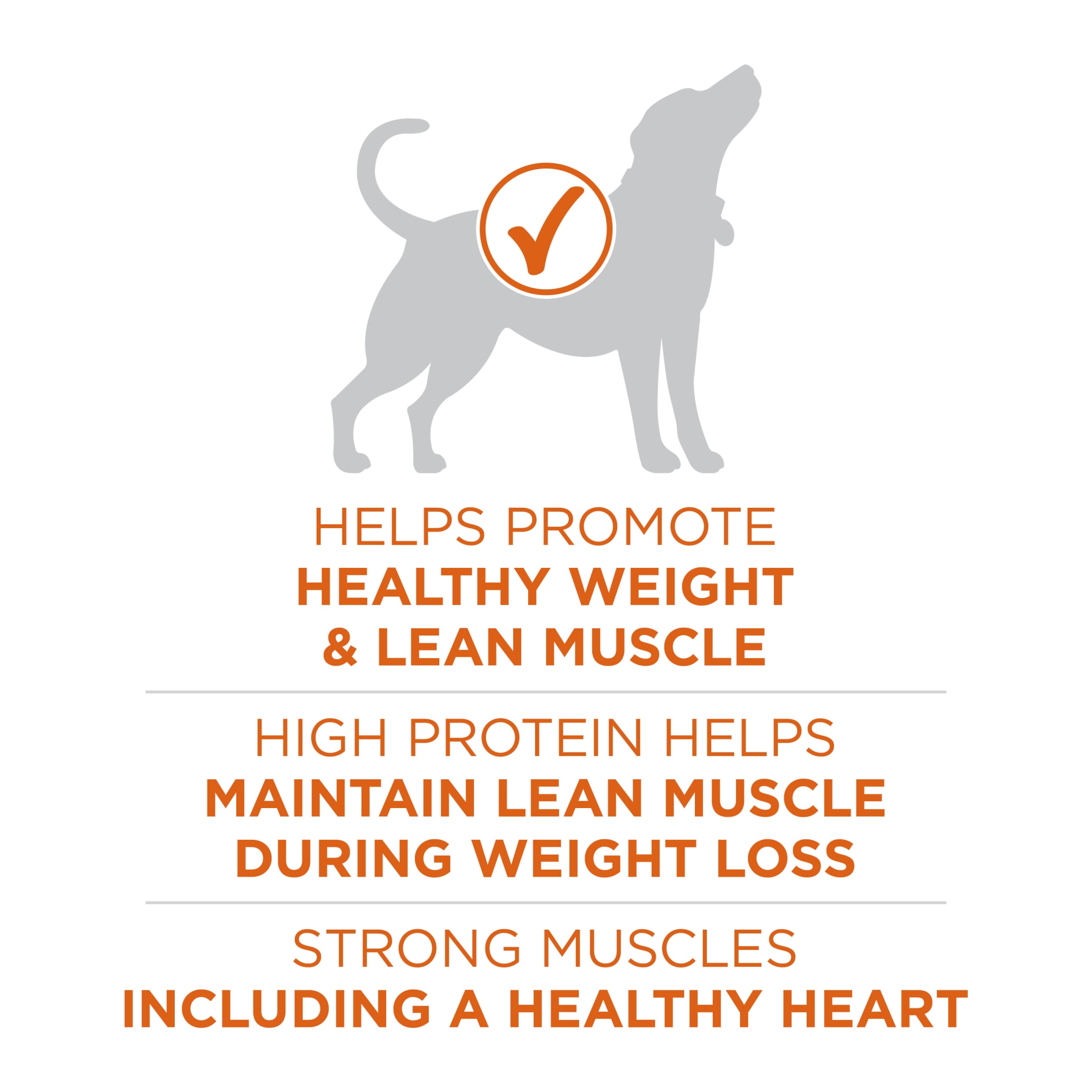 Purina One Plus High Protein Healthy Weight Dry Dog Food, 16.5 lb photo 5