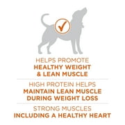 Purina ONE Plus Healthy Weight Dog Food Dry Formula, 8 lb.