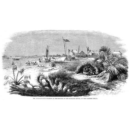 David Livingstone N(1813-1873) Scottish Missionary And Explorer In Africa Dr LivingstoneS Station At The Mouth Of The Kongone River On The Zambesi Delta Wood Engraving From An English Newspaper Of