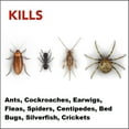 thumbnail image 3 of Insecticide Raid contre les fourmis, les coquerelles, et les perce-oreilles, pour utilisation à l’intérieur et à l’extérieur, 350 g, 3 of 8