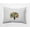 Forest Green, variant on 16" x 16" Simply Daisy Printed Quilt Tree Polyester Accent Pillow, Scallion Qty 1