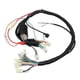thumbnail image 1 of motorcycles electric full assembly spare parts entire vehile cable wire line for Honda 125cc CG 125 CG125, 1 of 4