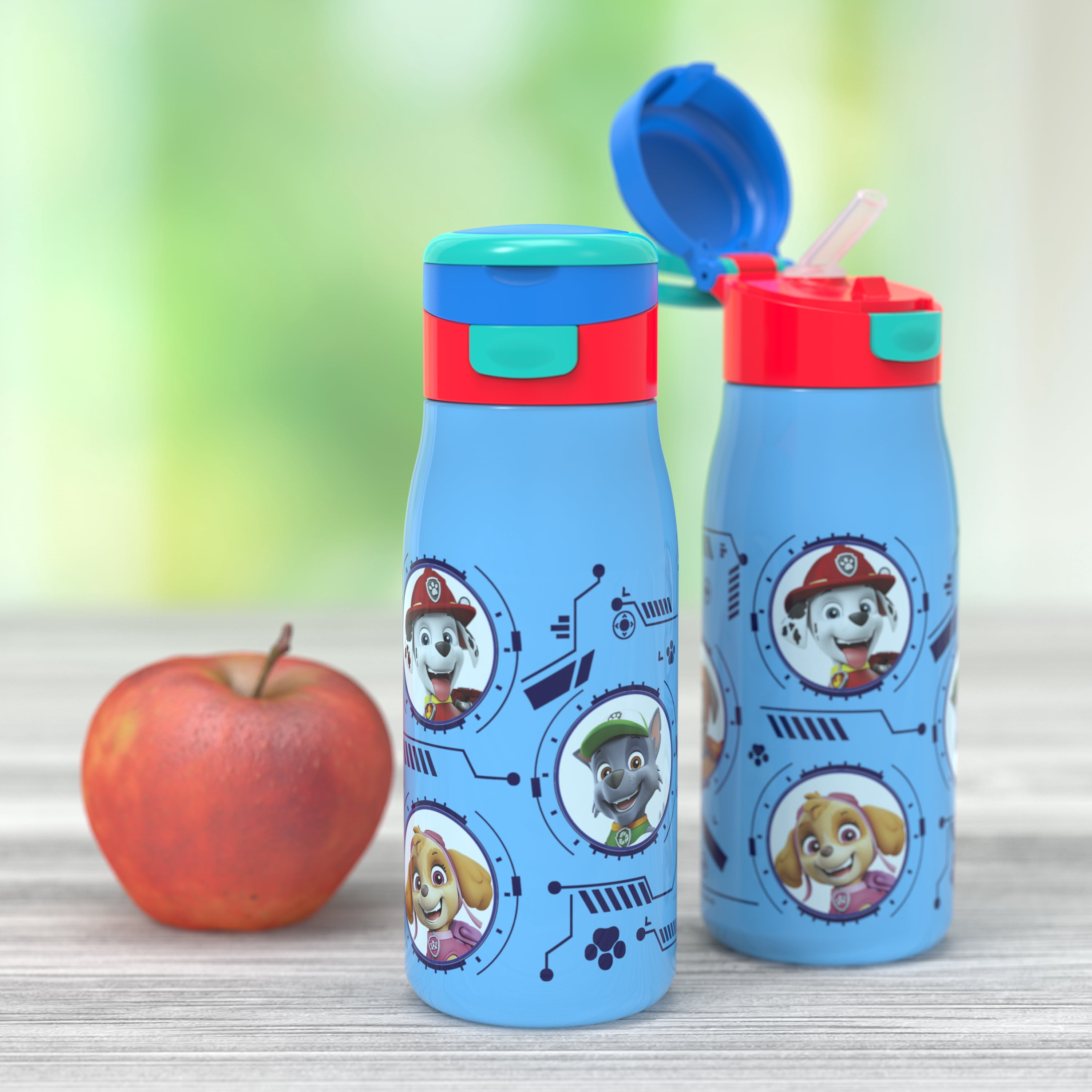 Zak Designs Paw Patrol 13.5 Ounce Stainless Steel Insulated Water Bottle, Skye, Marshall and Friends