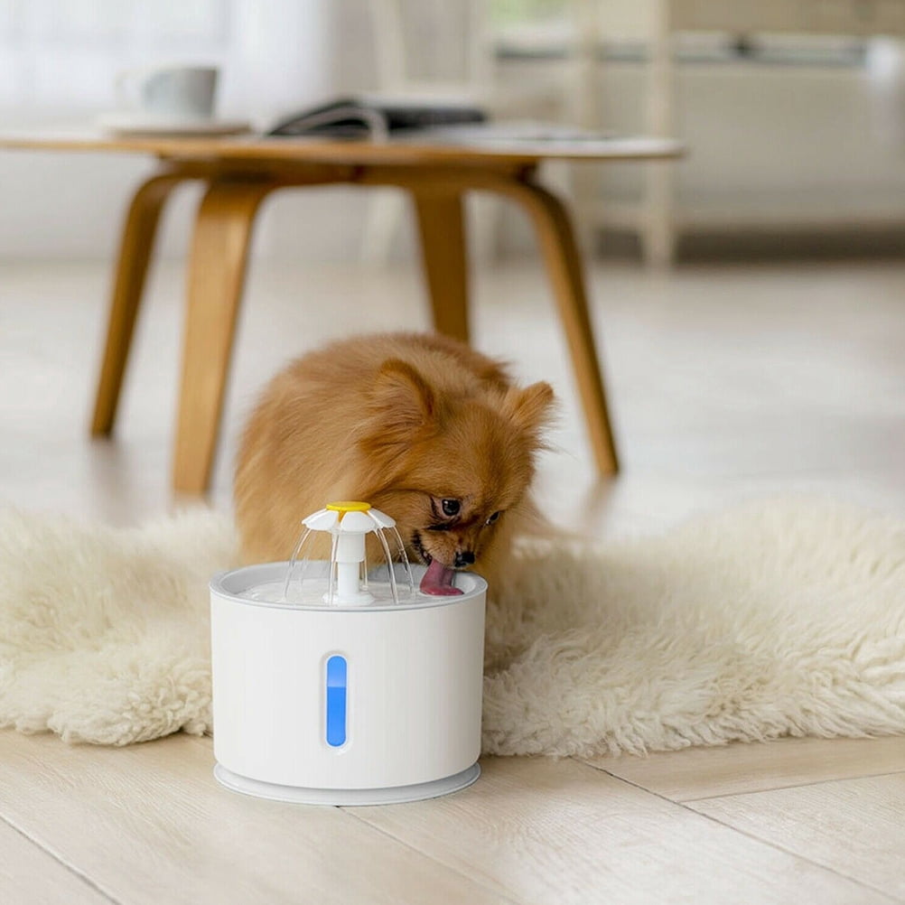 walmart pet supplies