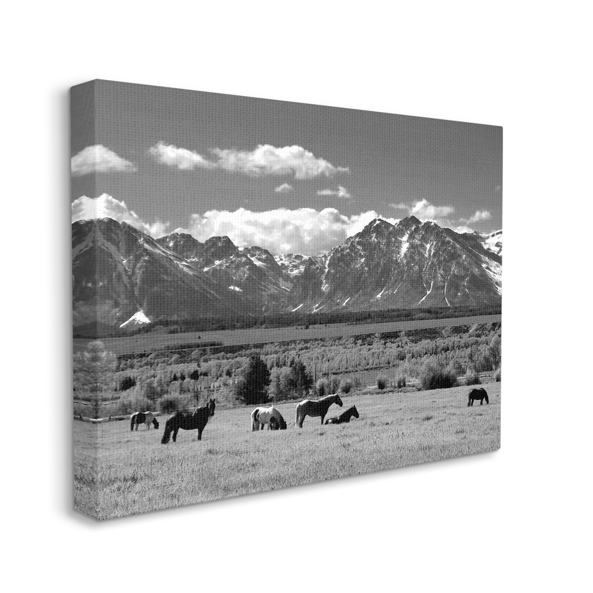 Stupell Industries Horses Grazing Countryside Landscape Photography Gallery Wrapped Canvas Art Print Wall Art, 48 x 36