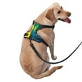 thumbnail image 3 of Picia Rainbow Colored No-Pull Dog Harness Reflective Front Clip Vest with Handle,Step-in Air Dog Harness,Adjustable 2 Metal Rings 4 Buckles,Easy to Put on & Take Off Medium, 3 of 9